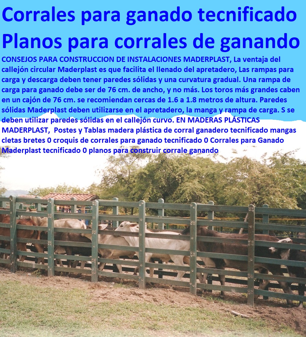 Postes y Tablas madera plástica de corral ganadero tecnificado mangas cletas bretes 0 croquis de corrales para ganado tecnificado 0 Corrales para Ganado Maderplast tecnificado 0 planos para construir corrale ganando Postes y Tablas madera plástica de corral ganadero tecnificado mangas cletas bretes 0 croquis de corrales para ganado tecnificado 0 Corrales para Ganado Maderplast tecnificado 0 planos para construir corrale ganando Postes y Tablas madera plástica de corral ganadero tecnificado mangas cletas bretes 0 croquis de corrales para ganado tecnificado 0 Corrales para Ganado Maderplast tecnificado 0 planos para construir corrale ganando